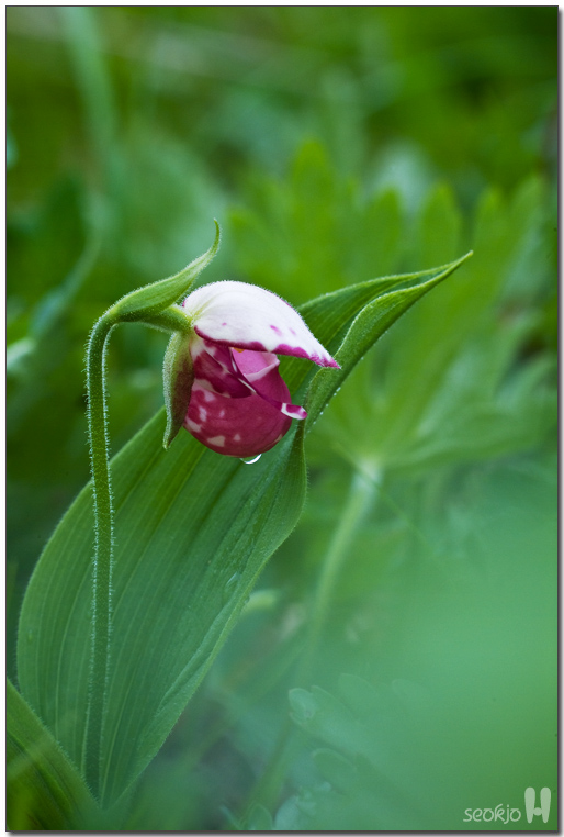 DSCF8664.jpg