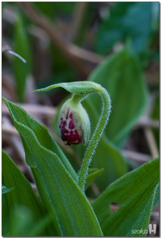 DSCF8627.jpg