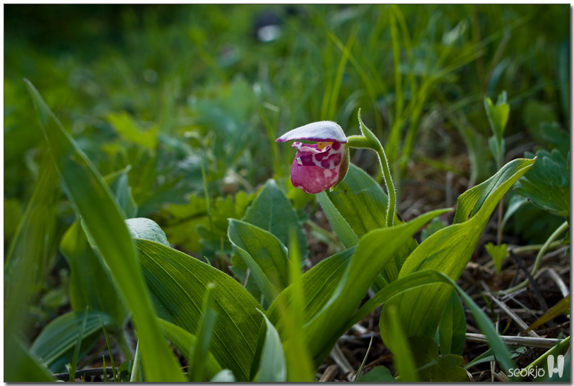 DSCF8795.jpg