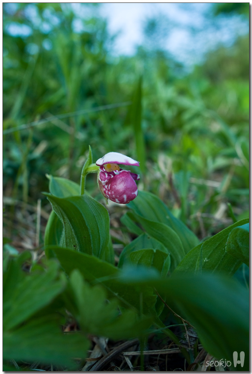 DSCF8797.jpg