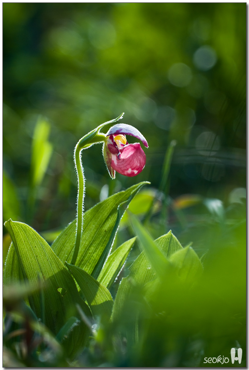 DSCF8781.jpg