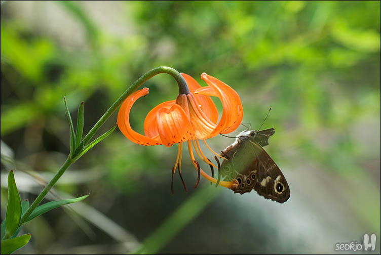 DSCF9633.jpg