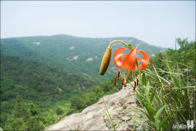 DSCF9640.jpg