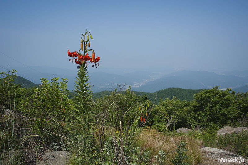 HSJ_5204.jpg