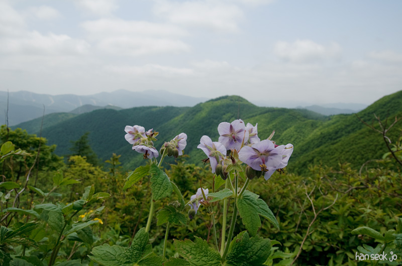 DSC_1969.jpg