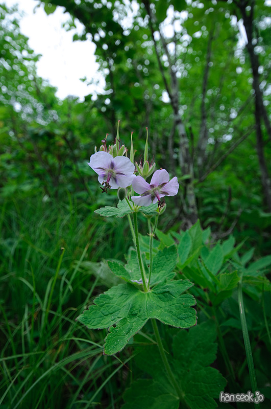 DSC_6918.jpg