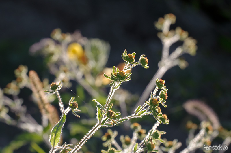 DSC_3911.jpg