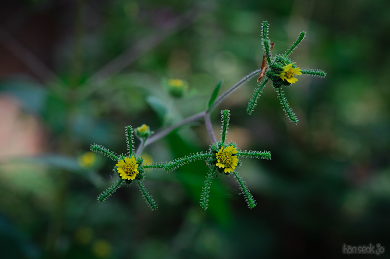 HSJ_0772.jpg
