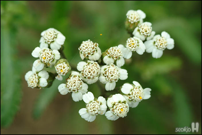 DSCF1317.jpg