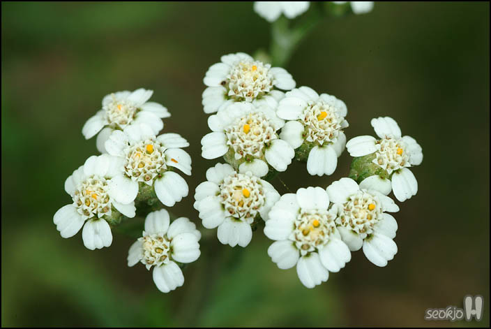 DSCF1320.jpg