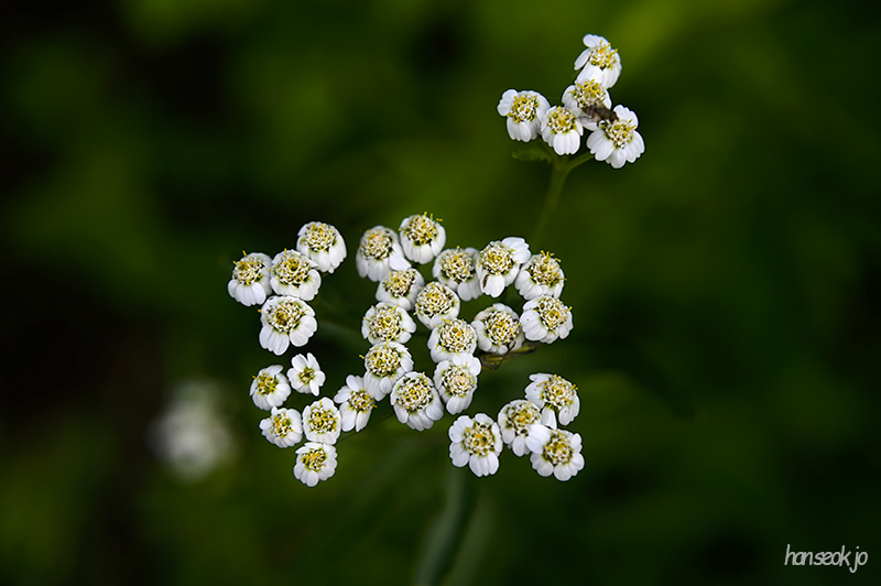 DSC_4324.jpg