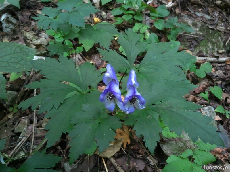 2010-10-01 14.00.48.jpg
