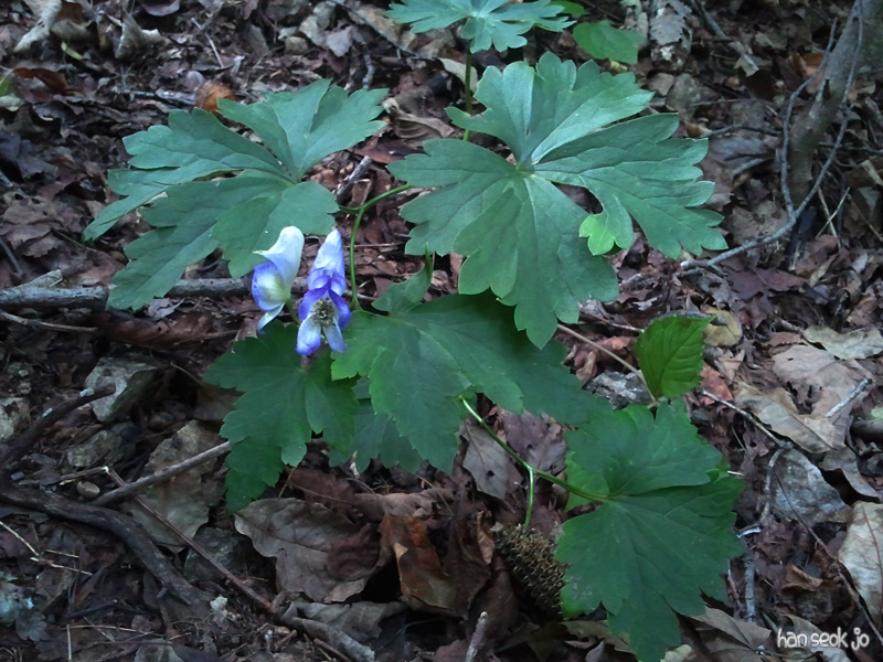 2010-10-01 14.07.43.jpg