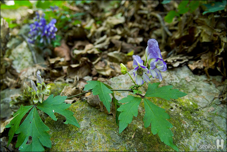 DSCF0832.jpg