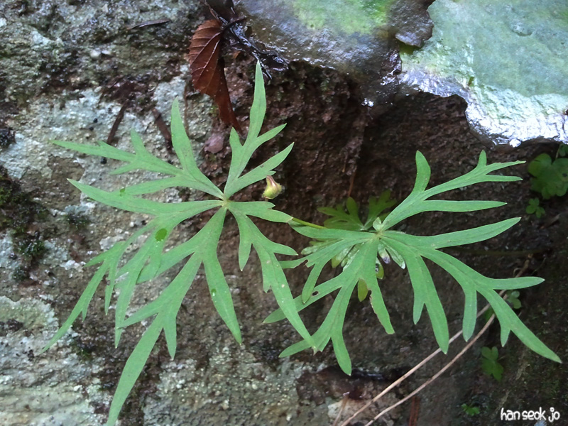 2010-09-04.jpg