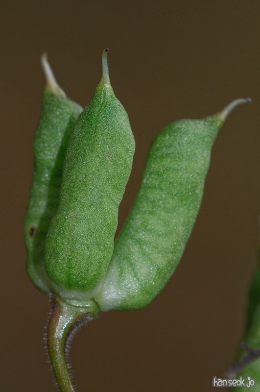DSC_8799.jpg