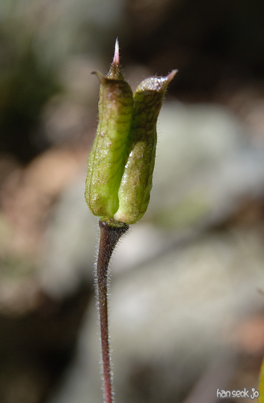 DSC_8568.jpg