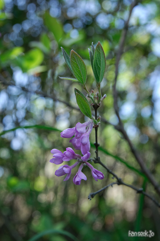 DSC_6181.jpg