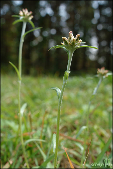 DSCF3170.jpg