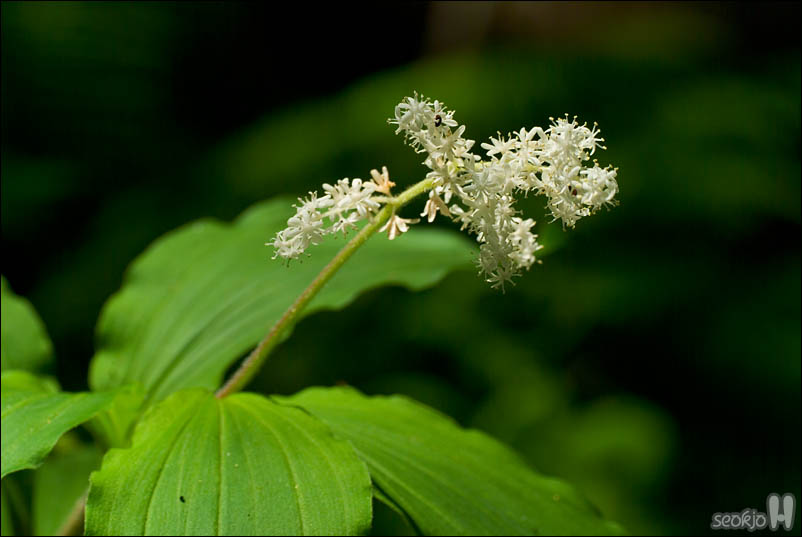 DSCF3860.jpg