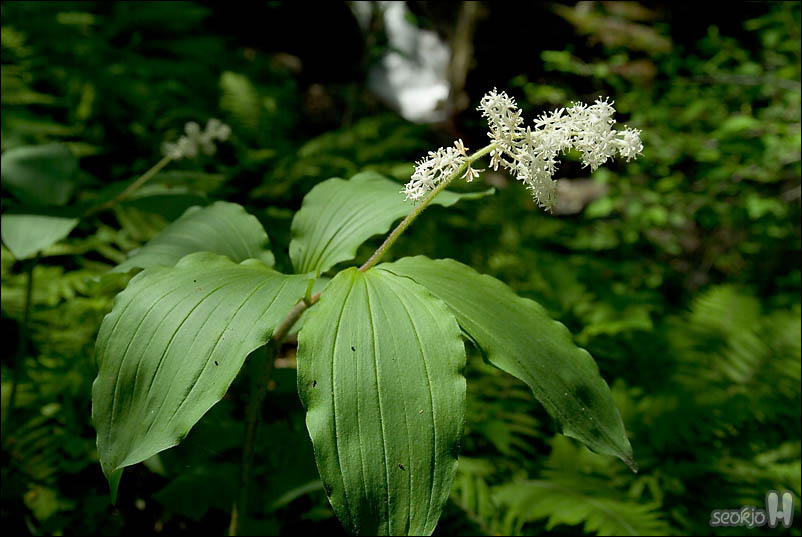 DSCF3861.jpg