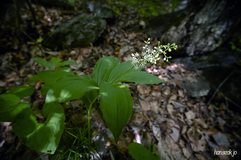DSC_5098.jpg
