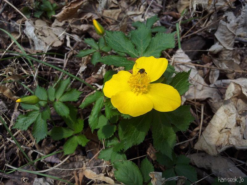 20130413.jpg
