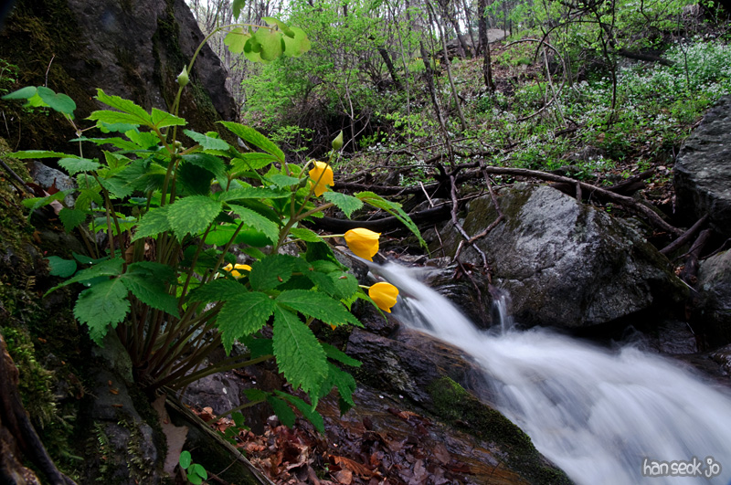 DSC_1357.jpg