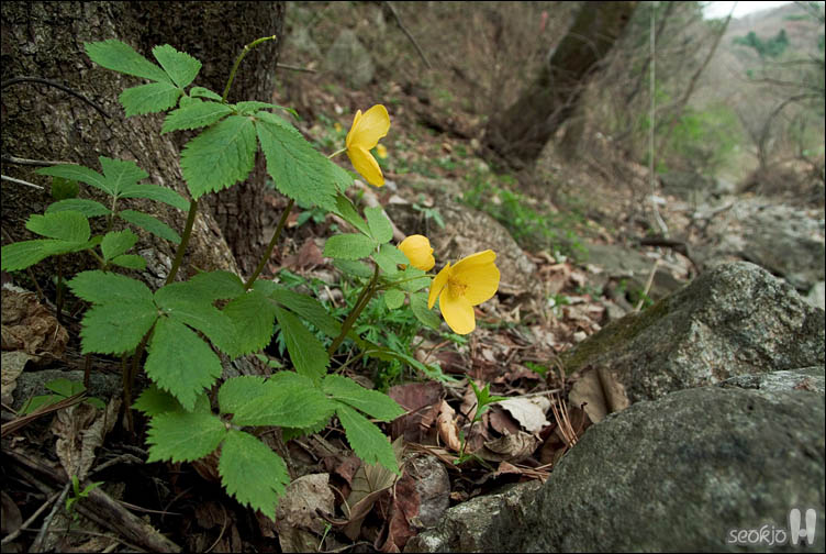 DSCF7330.jpg