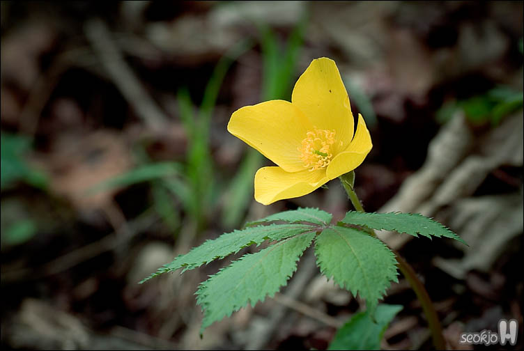 DSCF7314.jpg