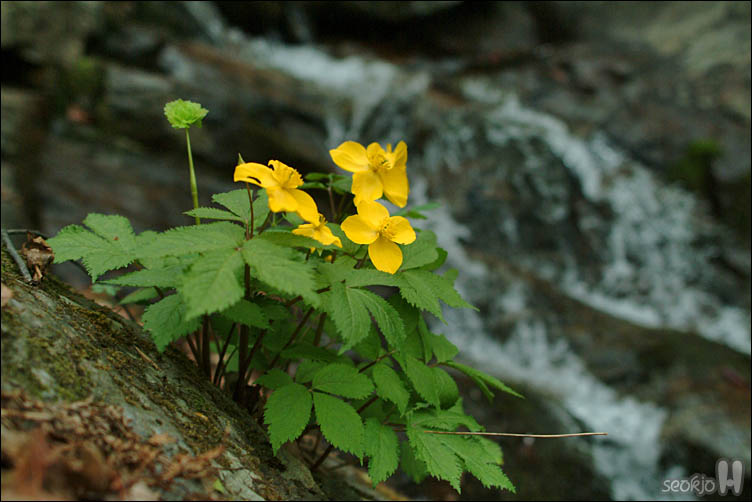 DSCF0191.jpg