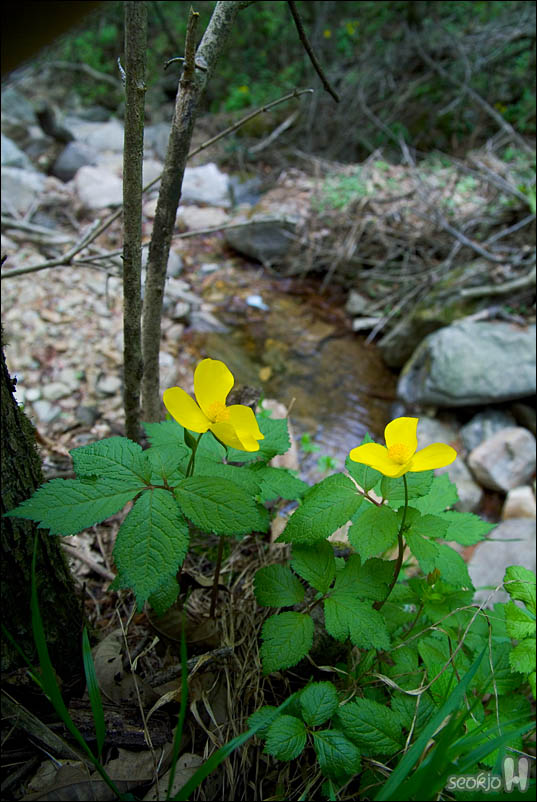 DSCF3276.jpg