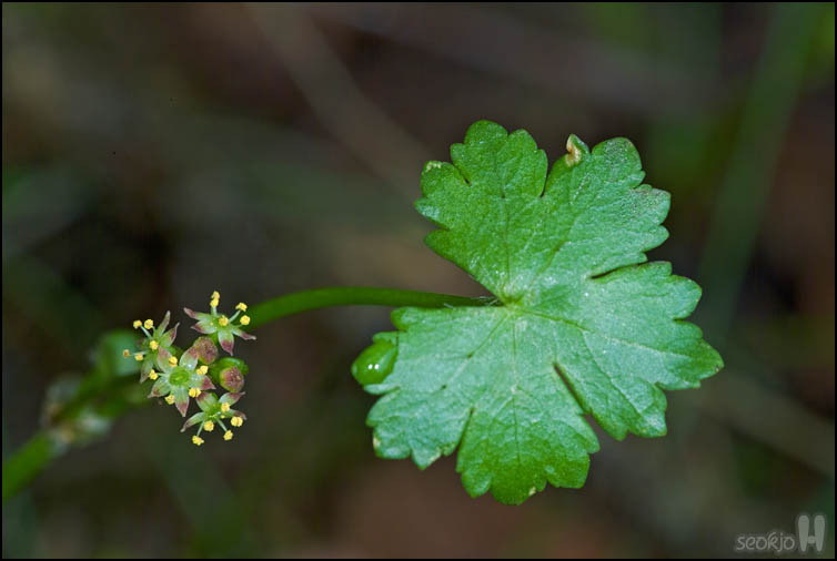 DSCF2165.jpg