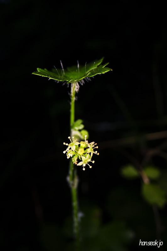 DSC_0046.jpg