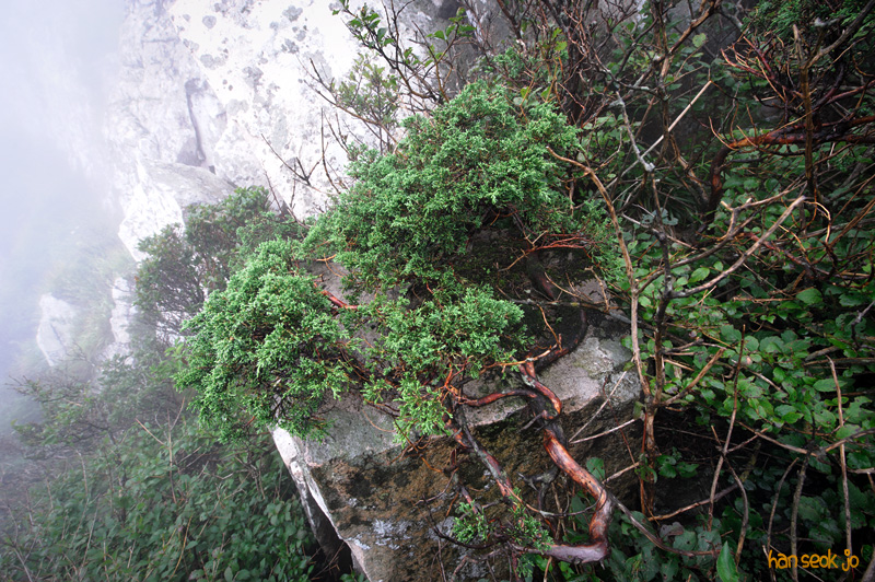 HSJ_2619.jpg