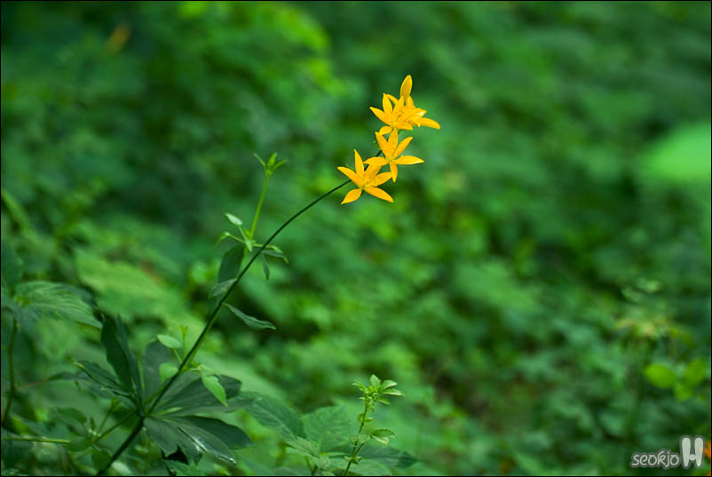 DSCF4395.jpg