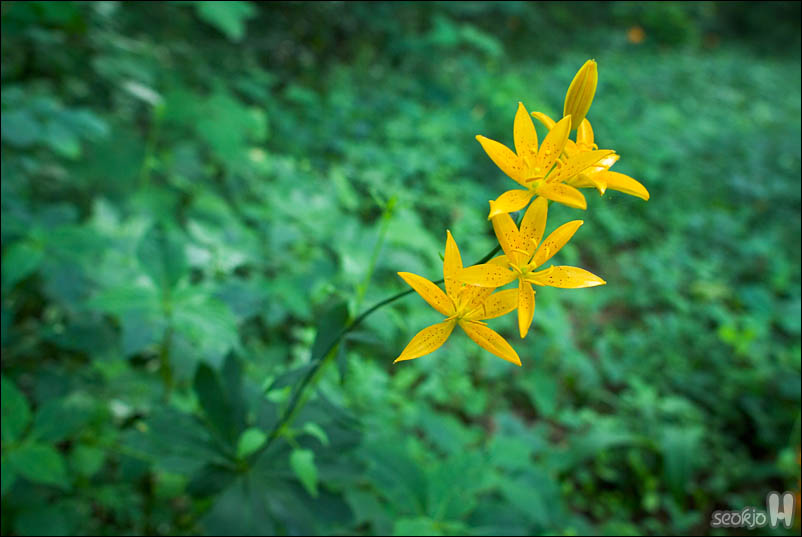 DSCF4397.jpg
