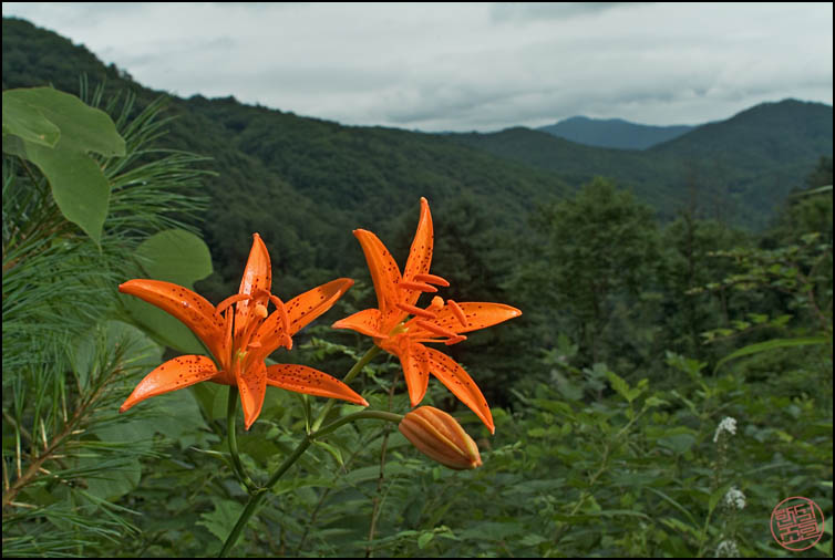 DSCF2378.jpg