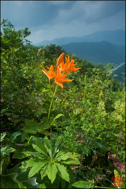 DSCF2612.jpg