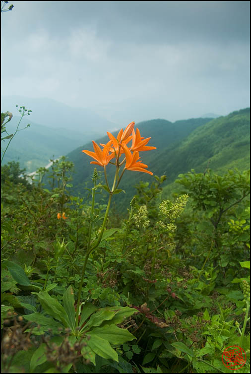 DSCF2609.jpg
