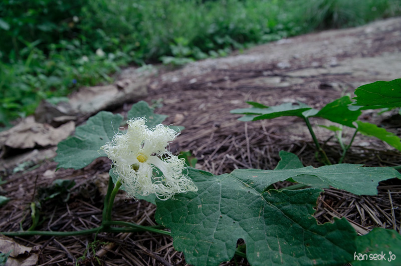 DSC_3001.jpg