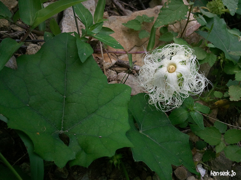 2010-07-25 13.42.23.jpg