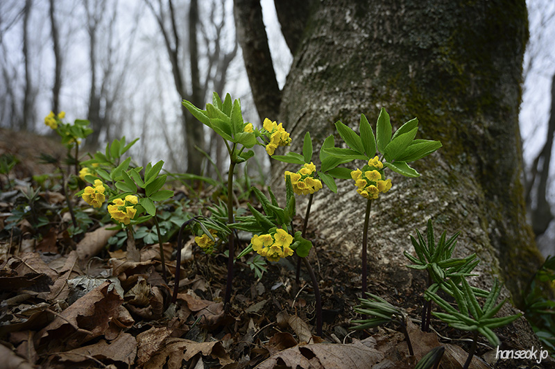 HAN_0260.jpg
