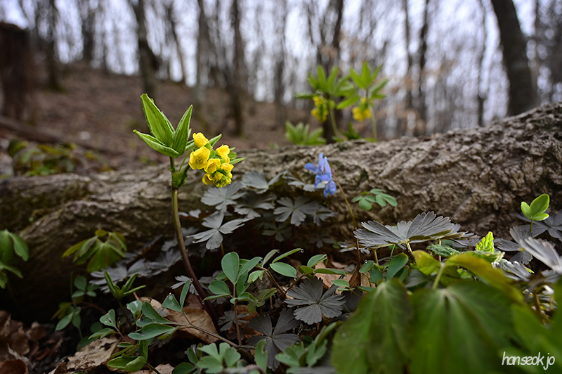 HAN_0250.jpg