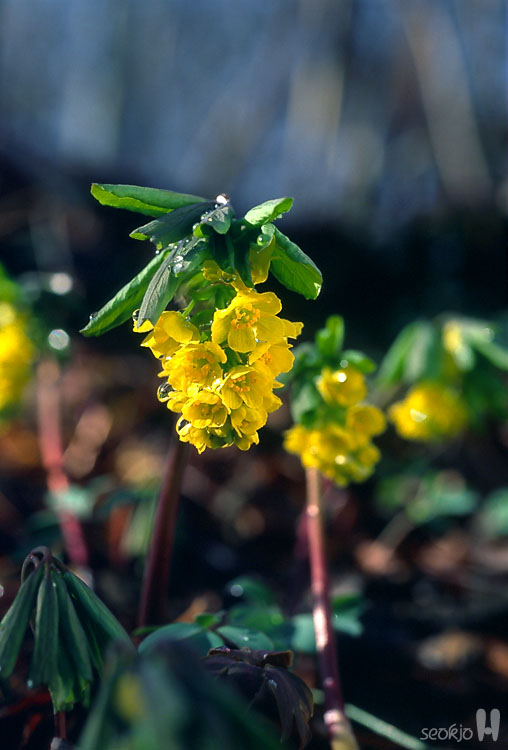 080419-1.jpg