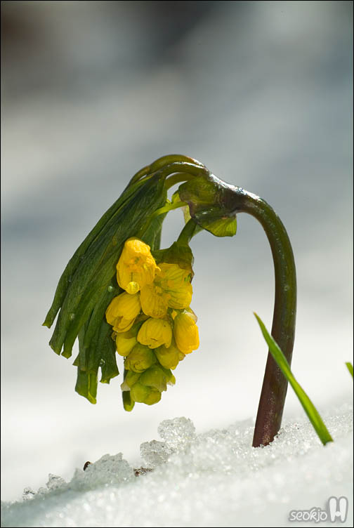 DSCF7482.jpg