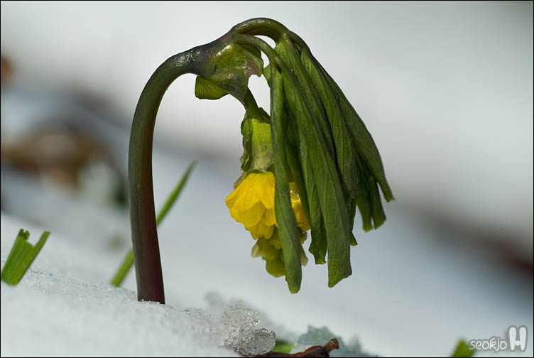 DSCF7486.jpg