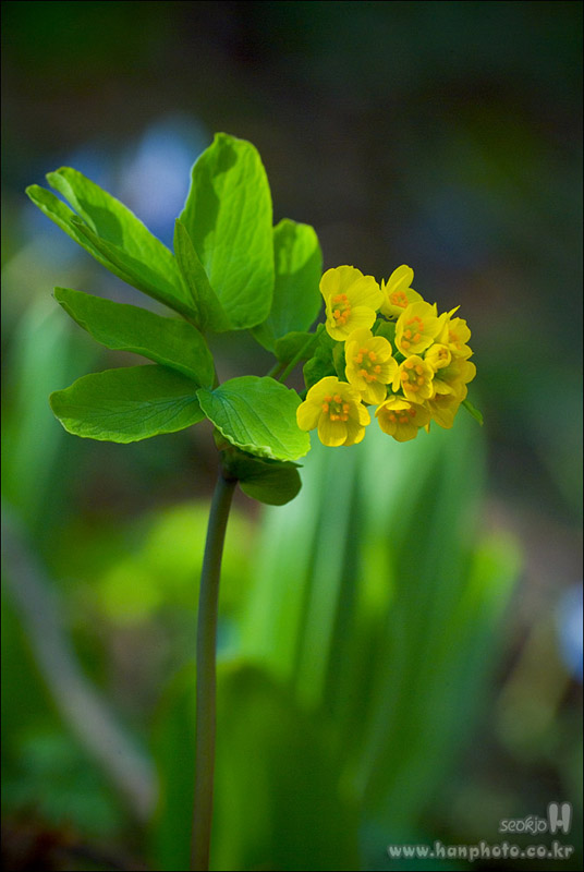 DSCF0260.jpg