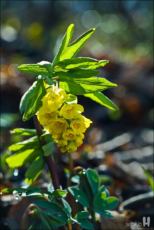 DSCF7761.jpg