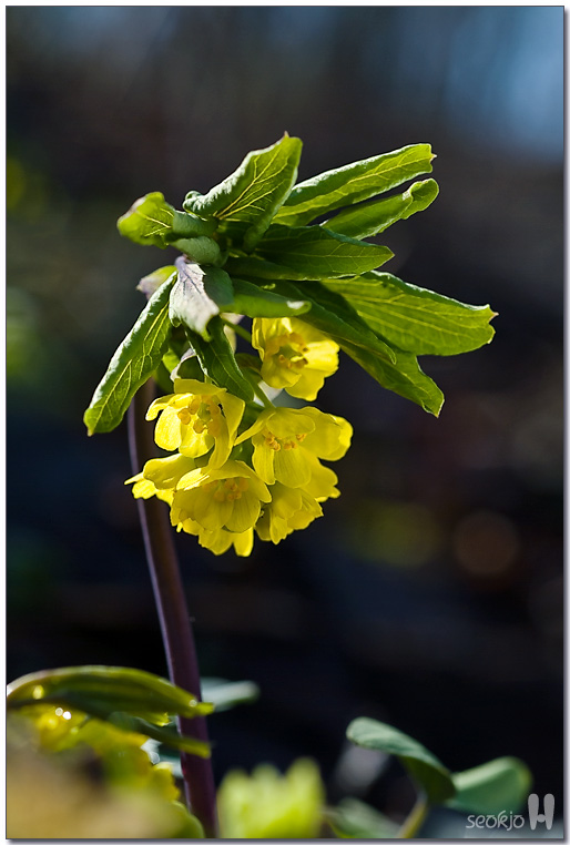 DSCF7758.jpg